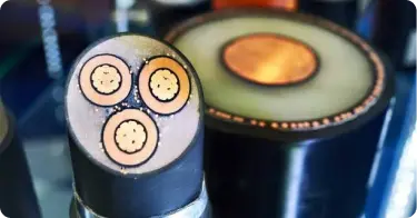 DBTDL XLPE Cables – Cross-Linked Polyethylene DBTDL XLPE cables cross-linked polyethylene insulation layers